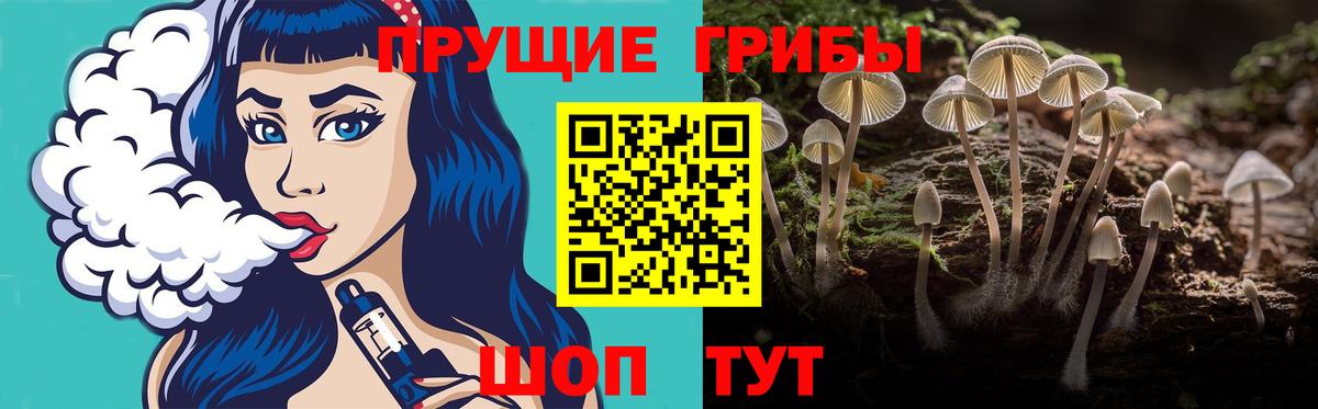 Псилоцибиновые грибы мухоморы  Псилоцибиновые грибы Psilocybe  Вход с VPN  Вязники 